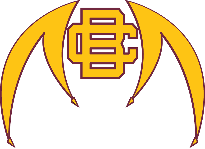 Bethune-Cookman Wildcats 2010-Pres Alternate Logo iron on transfers for T-shirts